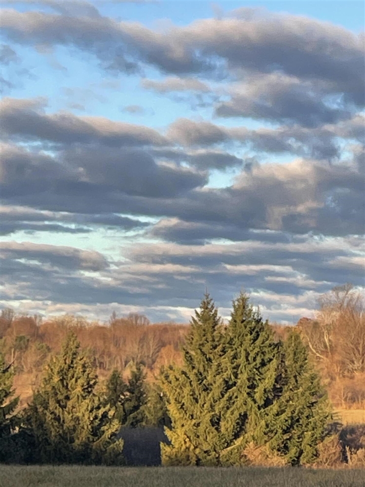 000 VL N Cottonwood Avenue, Big Rapids, MI, 49307-9128