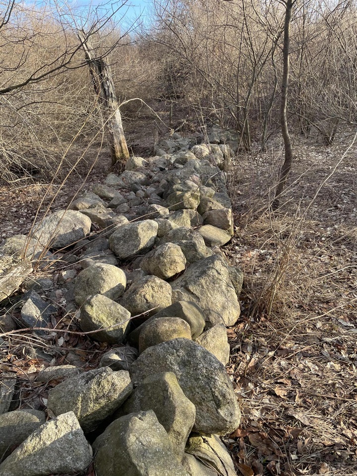 000 VL N Cottonwood Avenue, Big Rapids, MI, 49307-9128