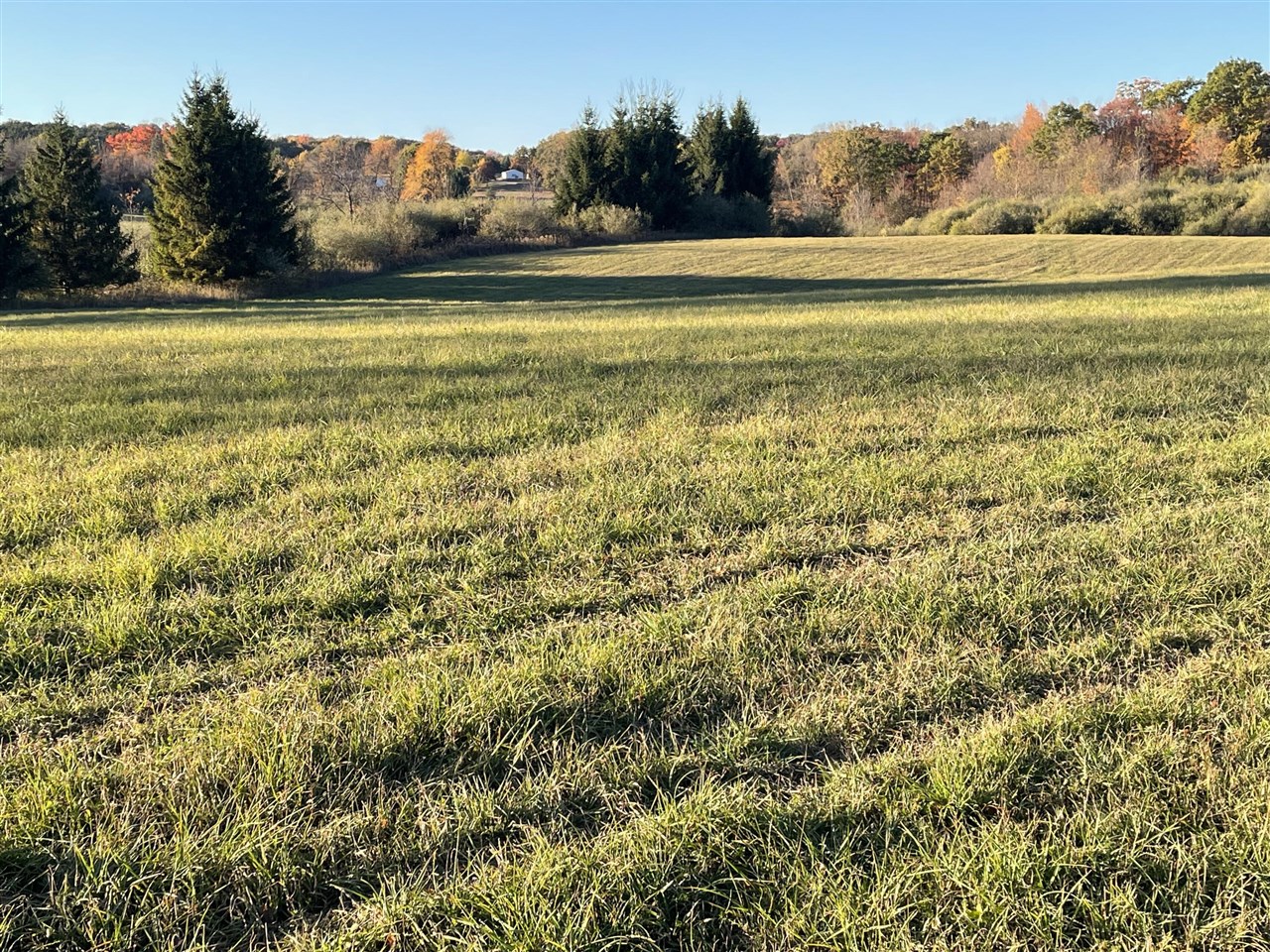 000 VL N Cottonwood Avenue, Big Rapids, MI, 49307-9128