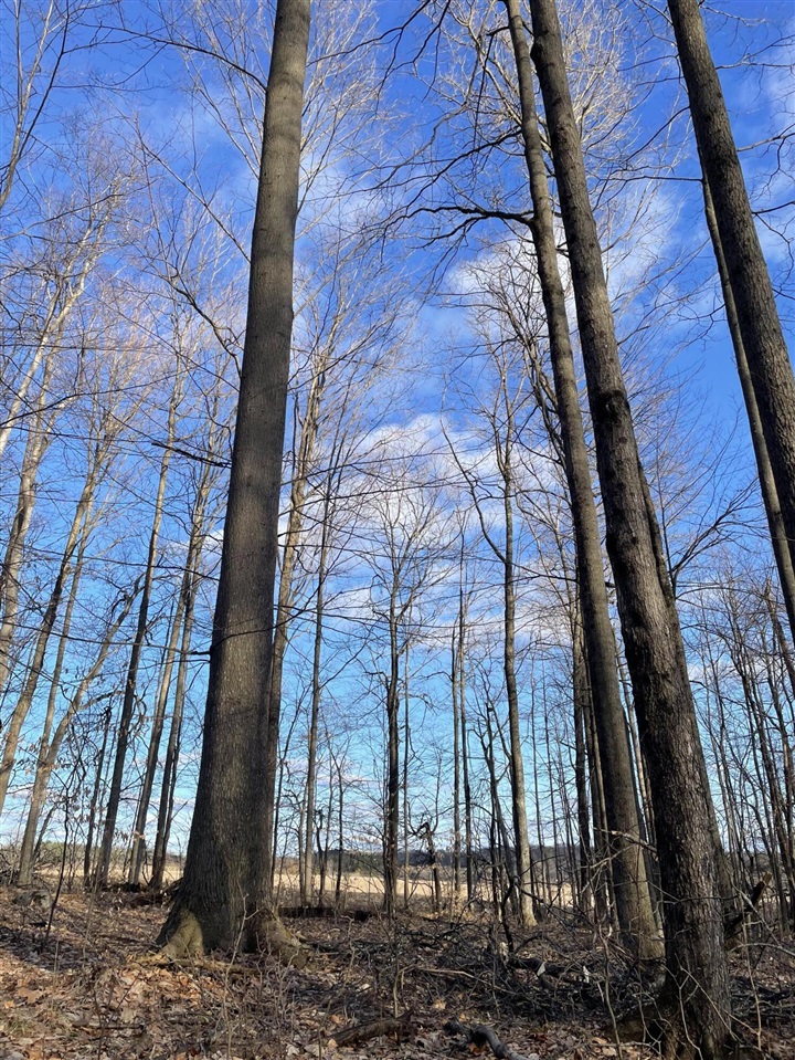 000 VL N Cottonwood Avenue, Big Rapids, MI, 49307-9128