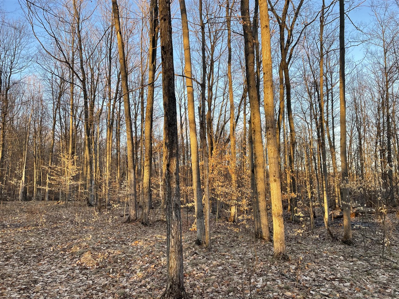 000 VL N Cottonwood Avenue, Big Rapids, MI, 49307-9128