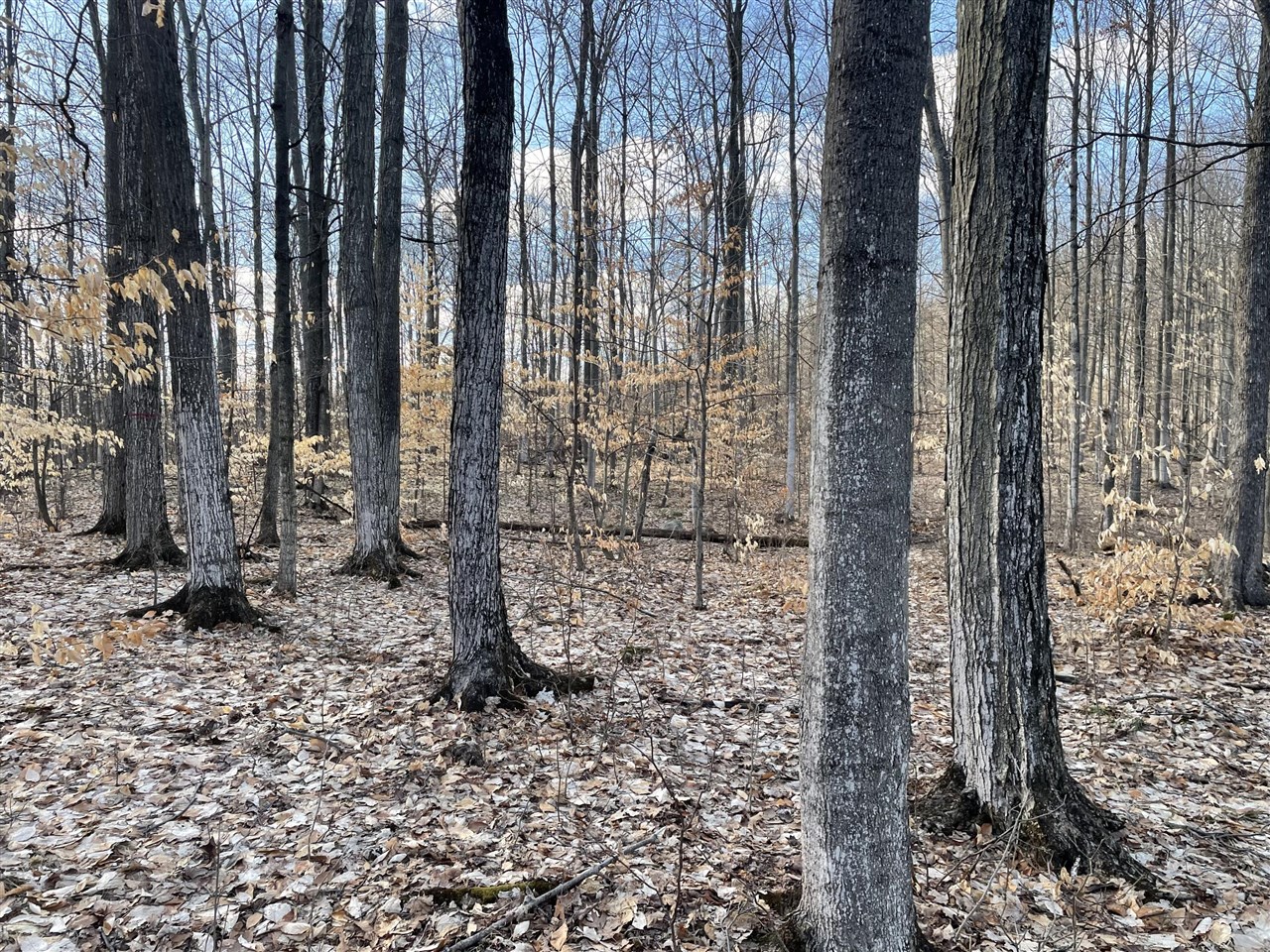 000 VL N Cottonwood Avenue, Big Rapids, MI, 49307-9128