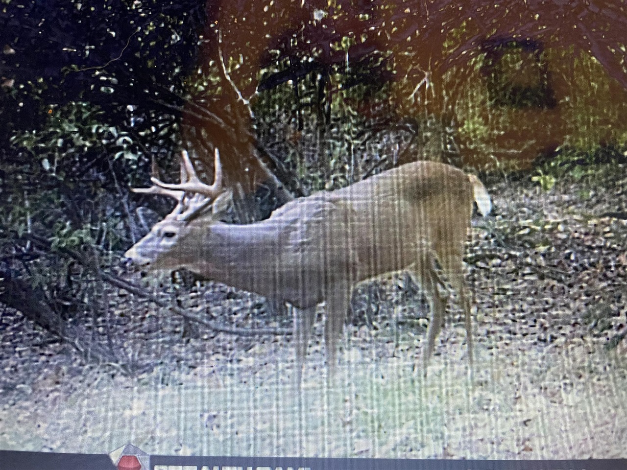 000 VL N Cottonwood Avenue, Big Rapids, MI, 49307-9128