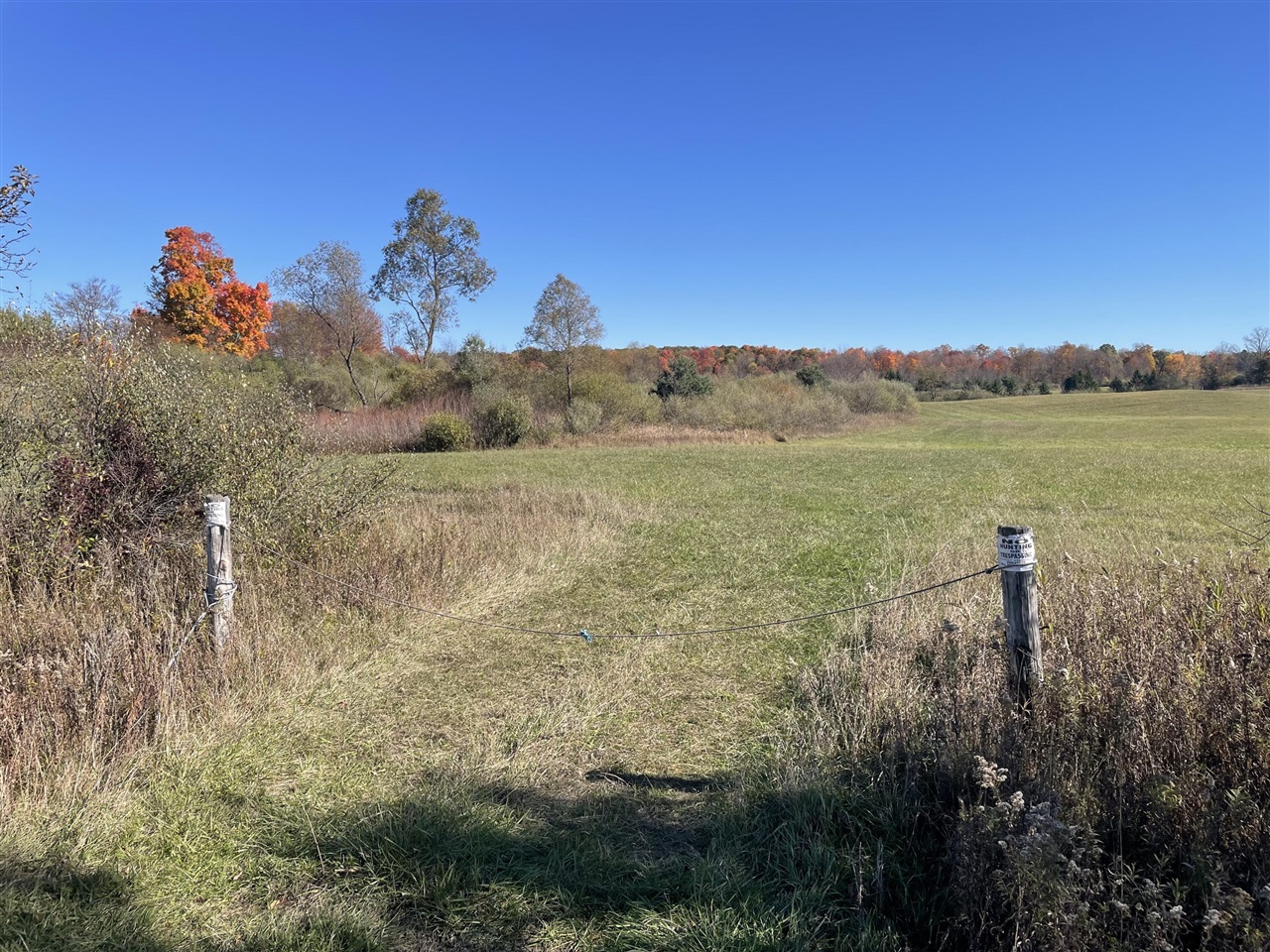 000 VL N Cottonwood Avenue, Big Rapids, MI, 49307-9128