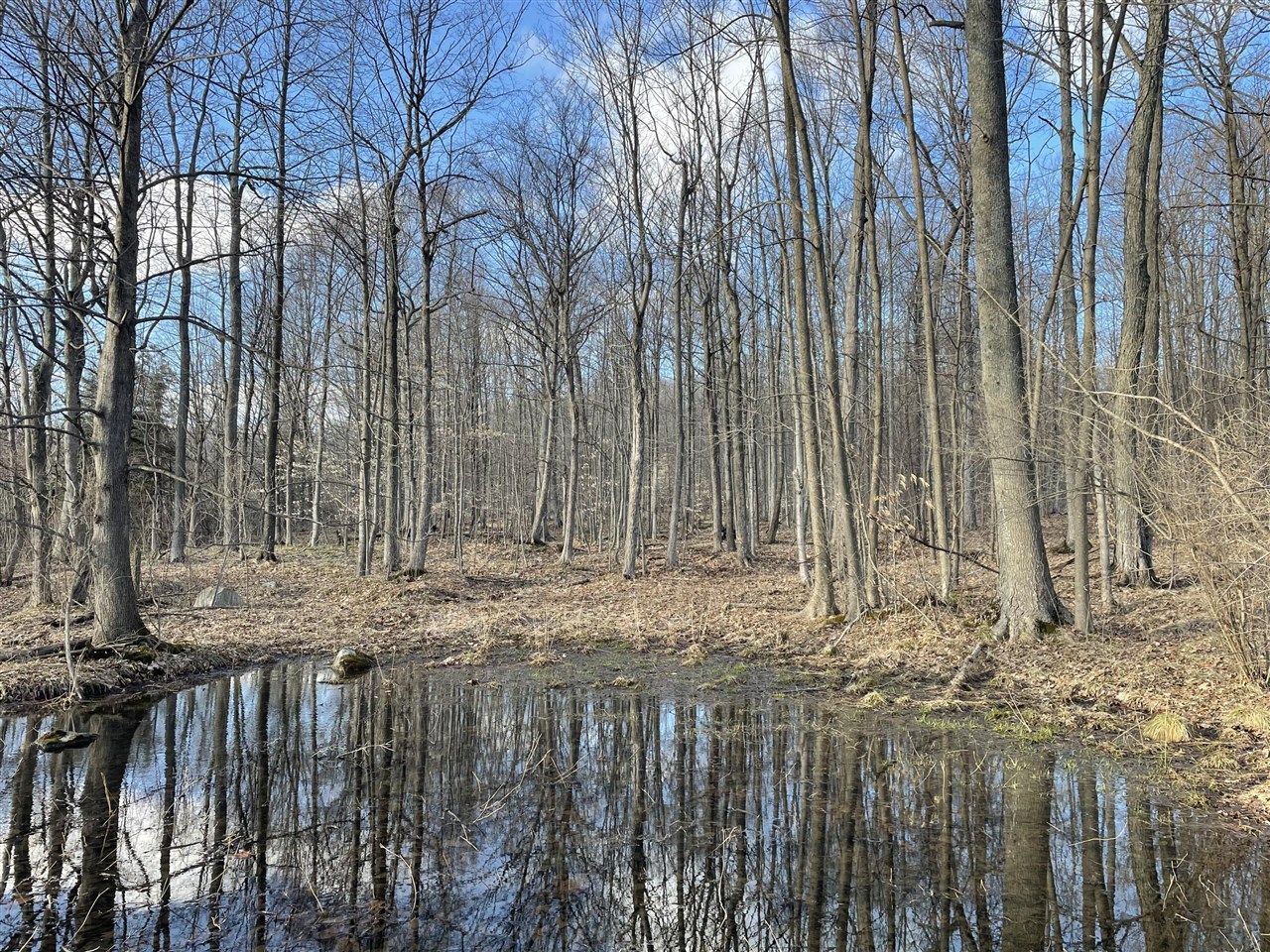 000 VL N Cottonwood Avenue, Big Rapids, MI, 49307-9128