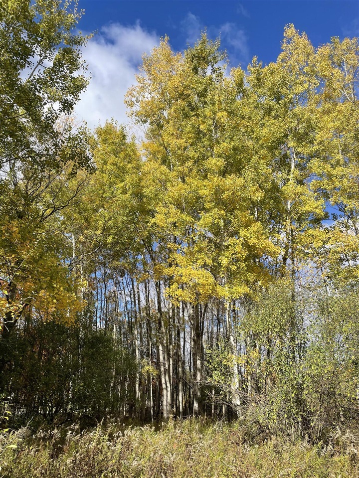 000 VL N Cottonwood Avenue, Big Rapids, MI, 49307-9128