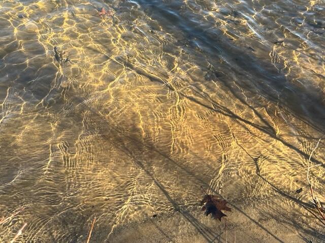 25454 Roundtree Lane, Sturgis, MI, 49091-9616