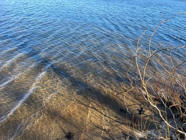 25454 Roundtree Lane, Sturgis, MI, 49091-9616