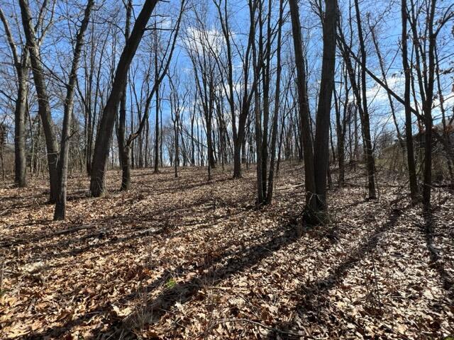 25454 Roundtree Lane, Sturgis, MI, 49091-9616