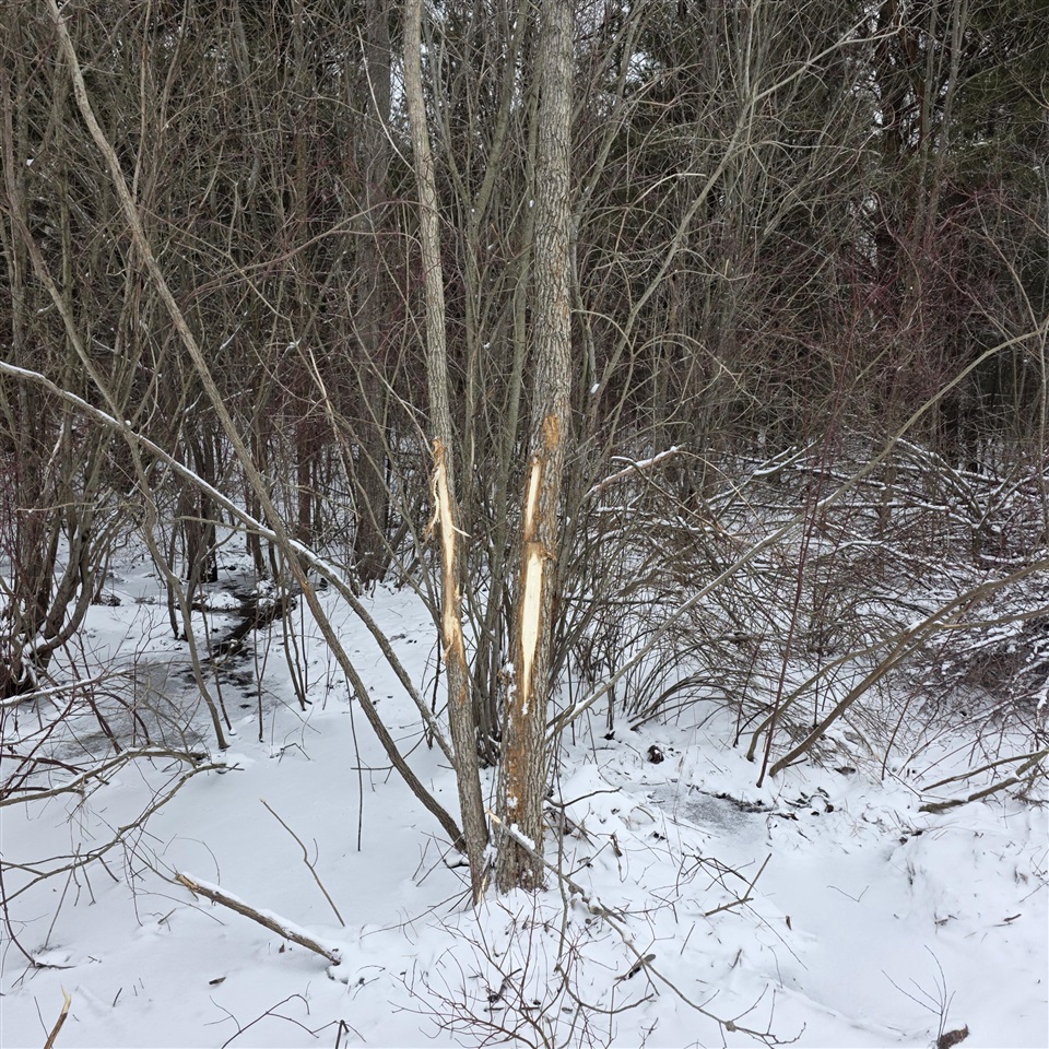 0 Lorenson Road, Muskegon, MI, 49445