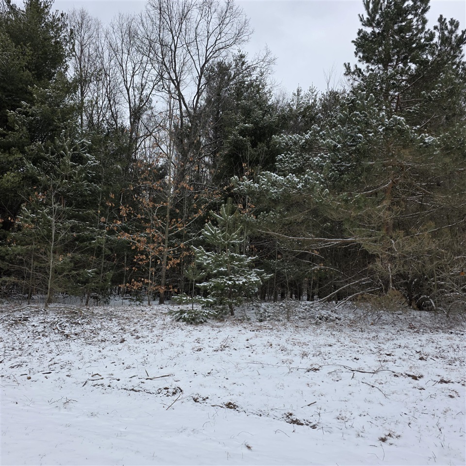 0 Lorenson Road, Muskegon, MI, 49445