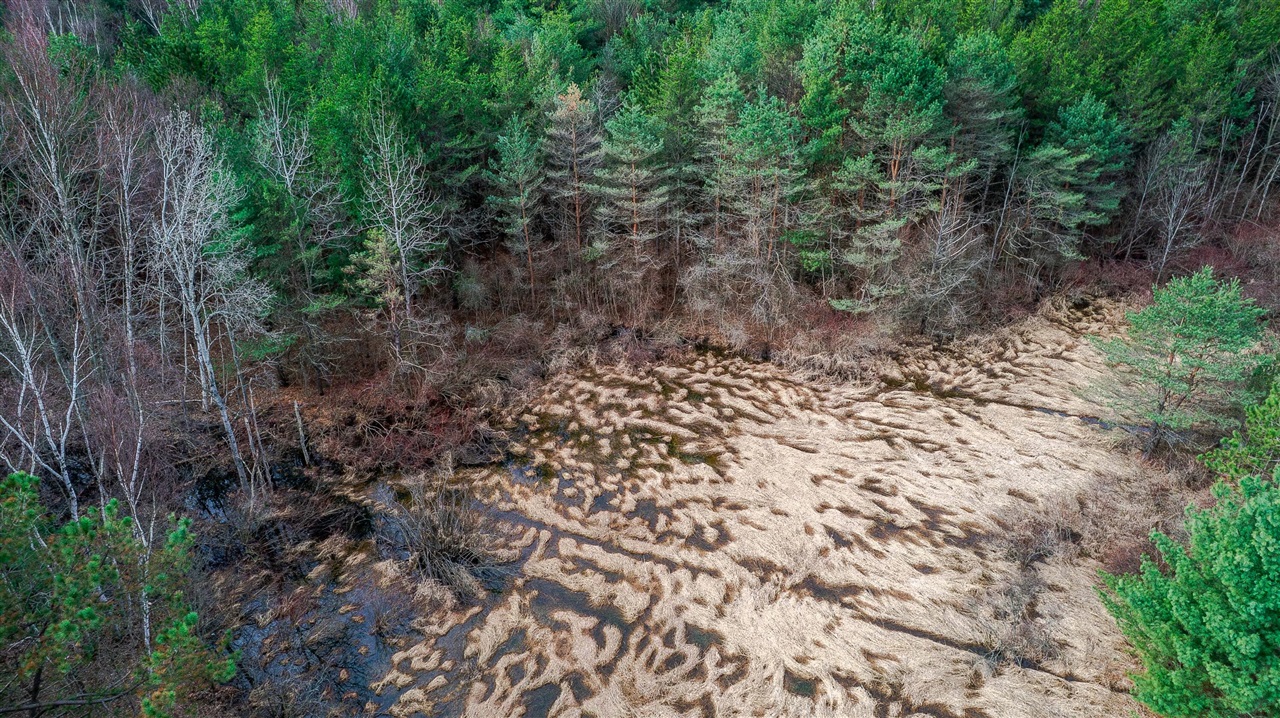 0 Lorenson Road, Muskegon, MI, 49445