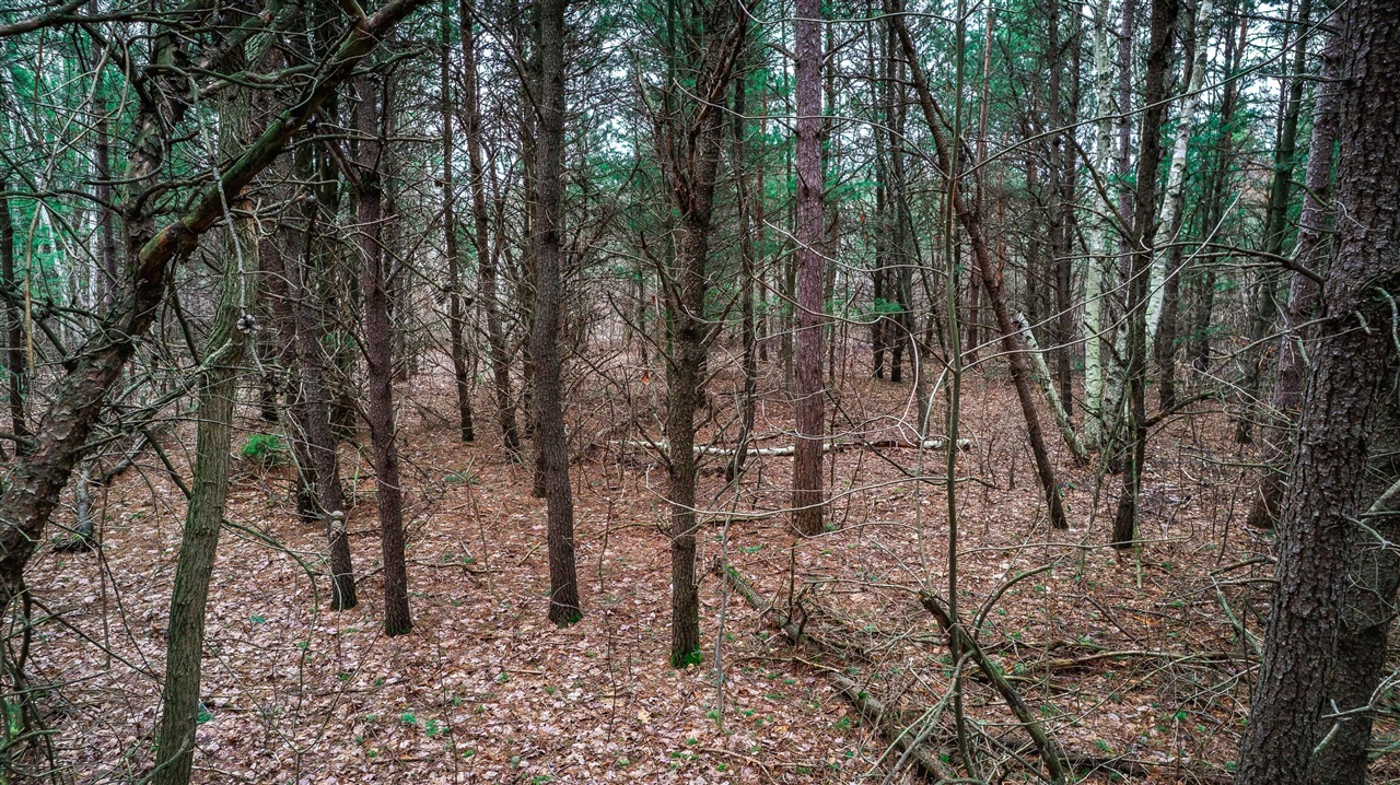 0 Lorenson Road, Muskegon, MI, 49445