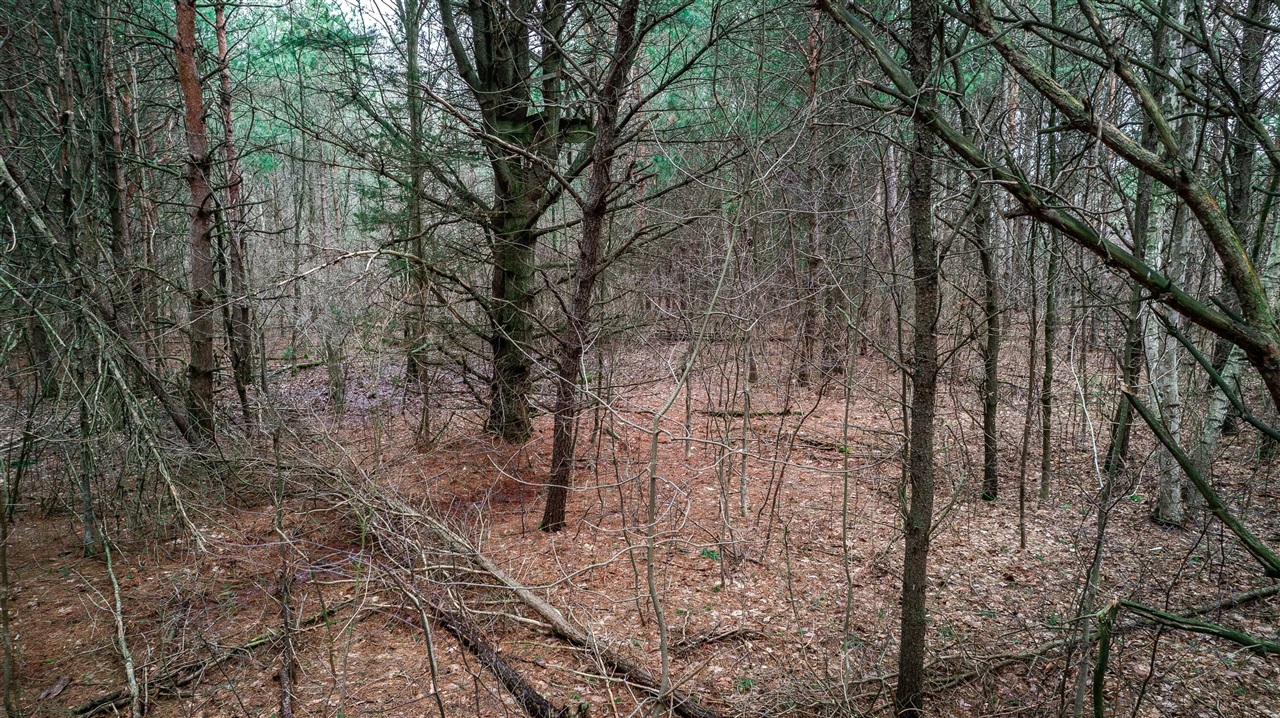 0 Lorenson Road, Muskegon, MI, 49445