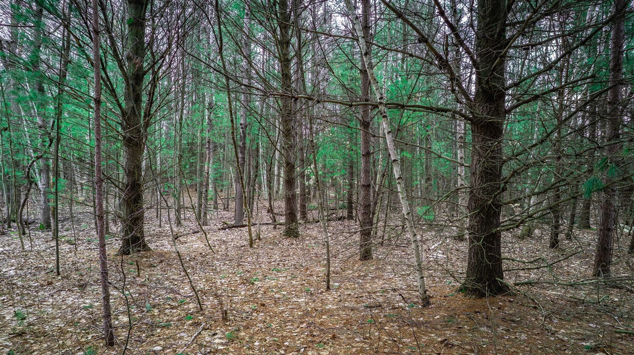 0 Lorenson Road, Muskegon, MI, 49445