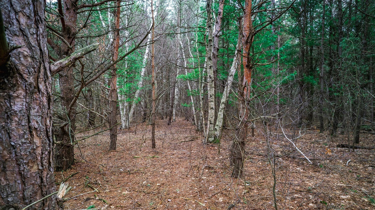 0 Lorenson Road, Muskegon, MI, 49445