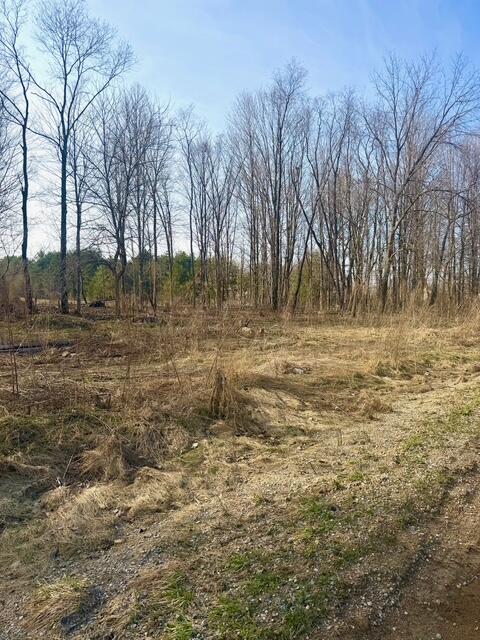 0 21st Street, Hopkins, MI, 49328