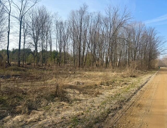 0 21st Street, Hopkins, MI, 49328