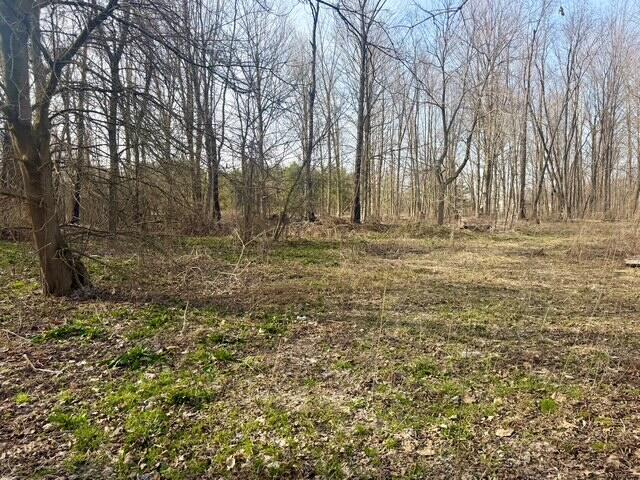 0 21st Street, Hopkins, MI, 49328