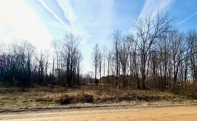 0 21st Street, Hopkins, MI, 49328