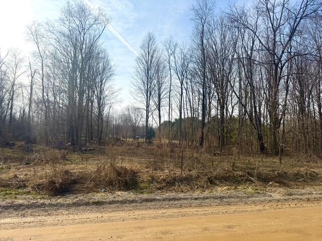 0 21st Street, Hopkins, MI, 49328