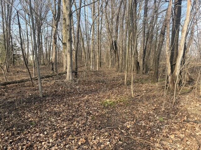 0 21st Street, Hopkins, MI, 49328