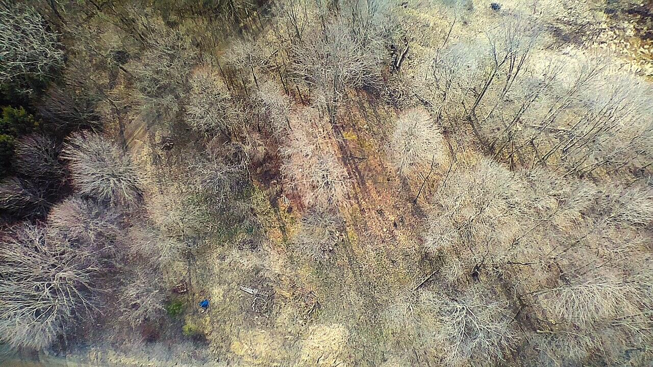 0 21st Street, Hopkins, MI, 49328