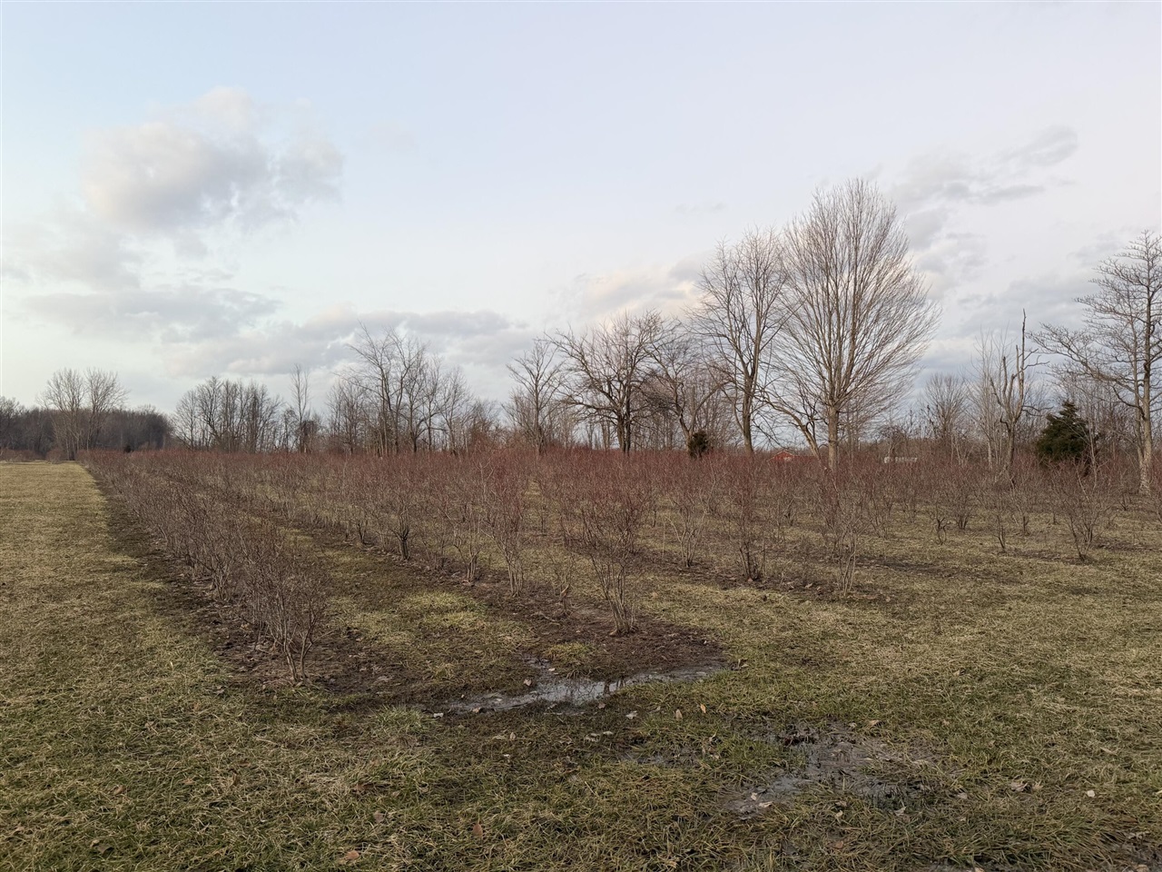 73122 36th Avenue, Covert, MI, 49043-8753