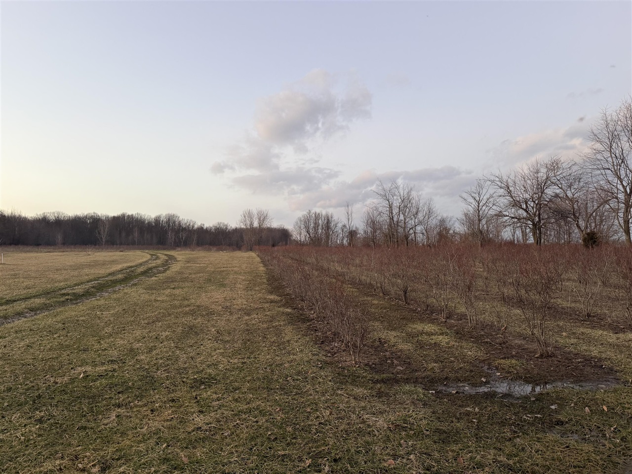 73122 36th Avenue, Covert, MI, 49043-8753