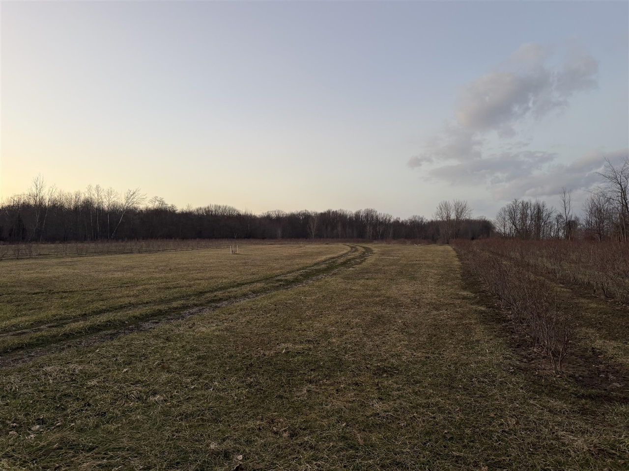 73122 36th Avenue, Covert, MI, 49043-8753