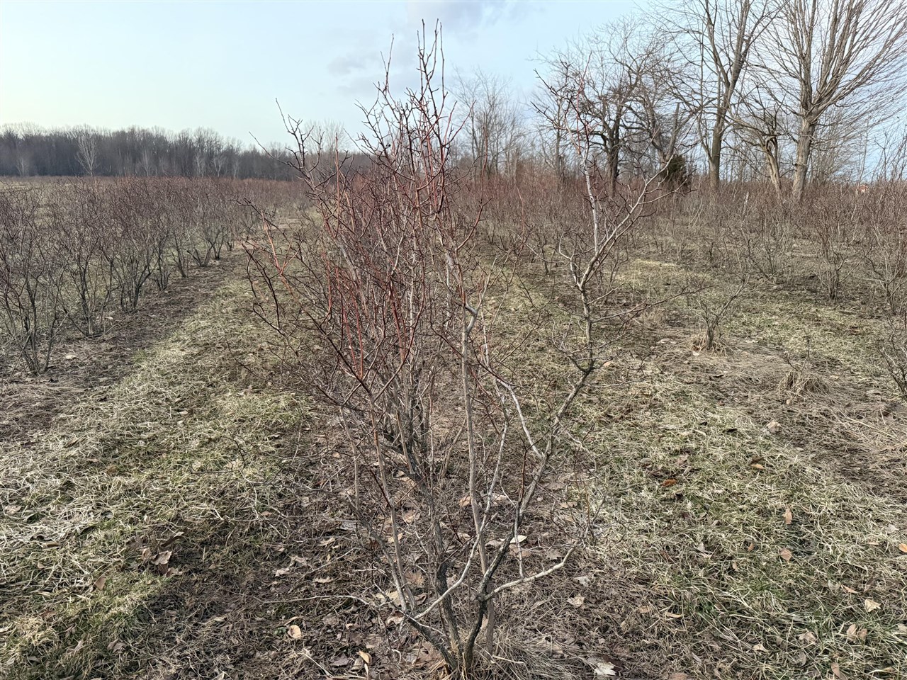 73122 36th Avenue, Covert, MI, 49043-8753