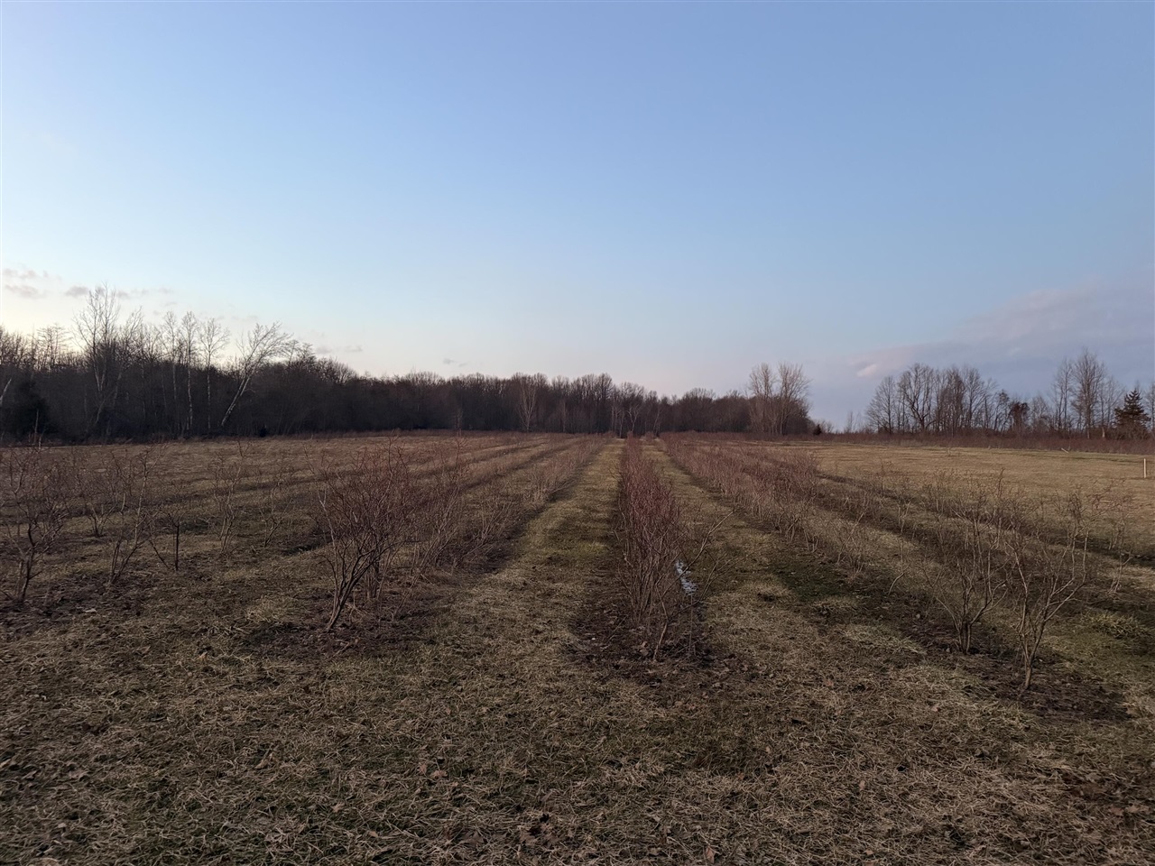 73122 36th Avenue, Covert, MI, 49043-8753