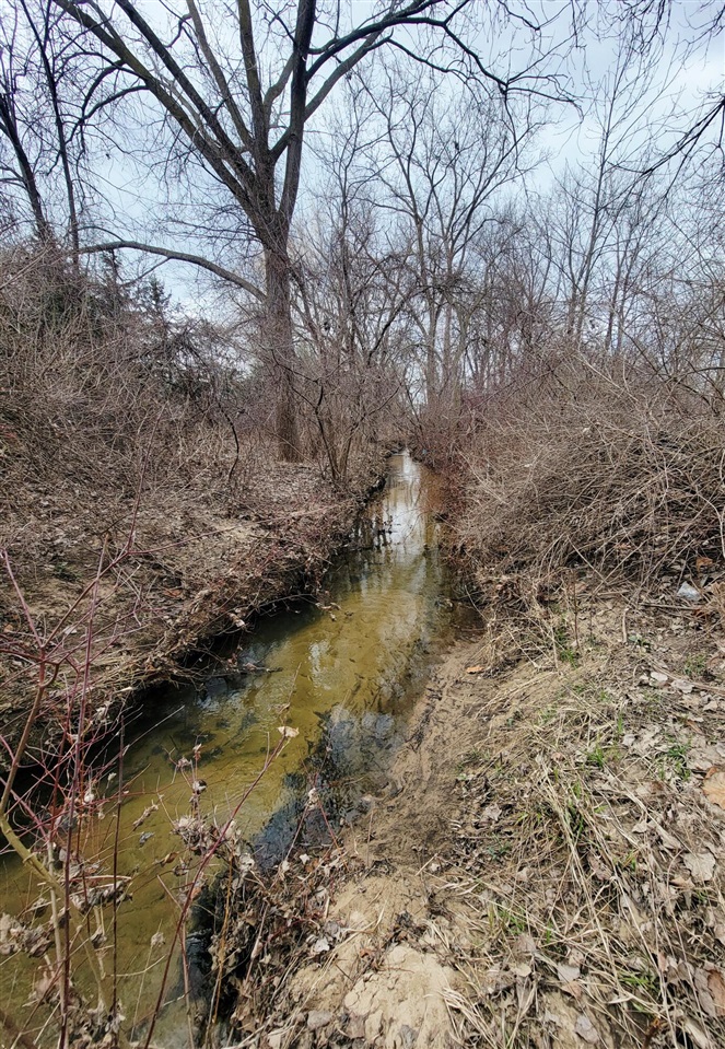 170 Wallasey Drive, Grand Rapids, MI, 49548