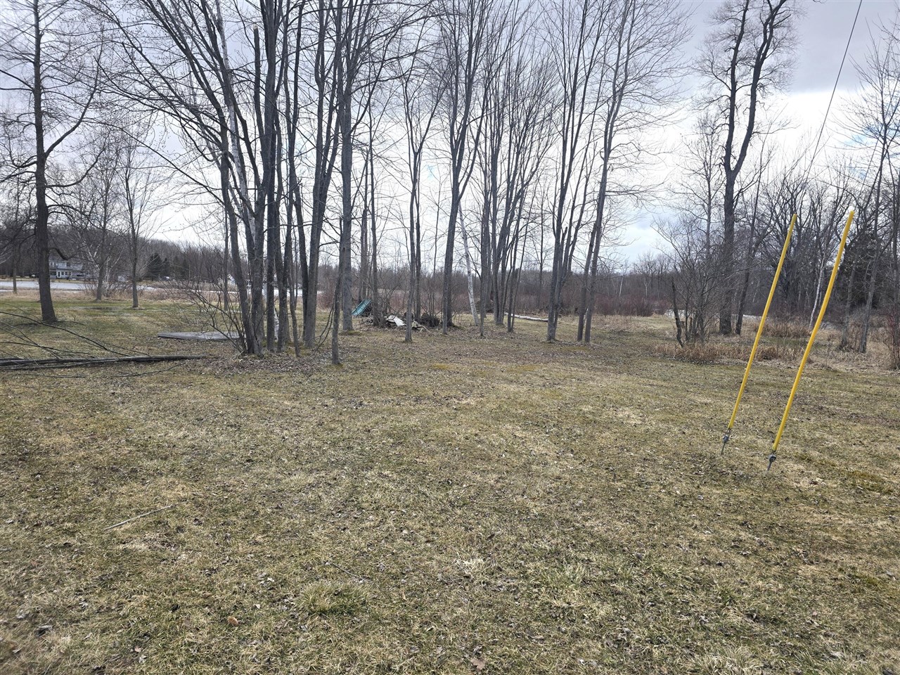 10631 Maple Drive, Riverdale, MI, 48877-8753