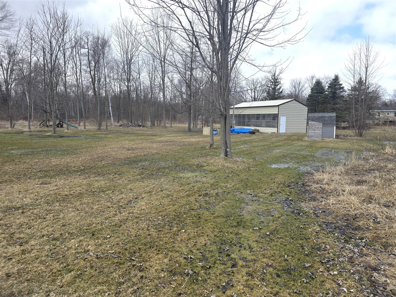 10631 Maple Drive, Riverdale, MI, 48877-8753