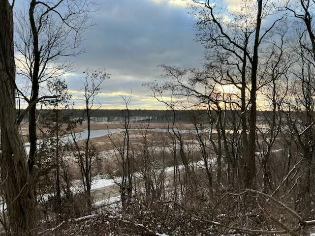 4832 W Monroe Road, Pentwater, MI, 49449-8910