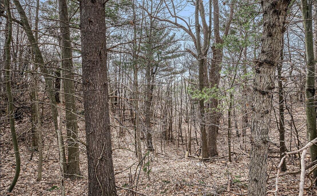 4832 W Monroe Road, Pentwater, MI, 49449-8910