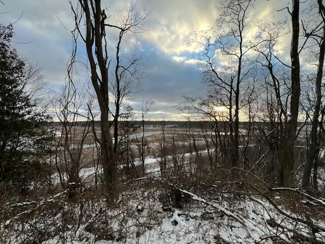 4832 W Monroe Road, Pentwater, MI, 49449-8910