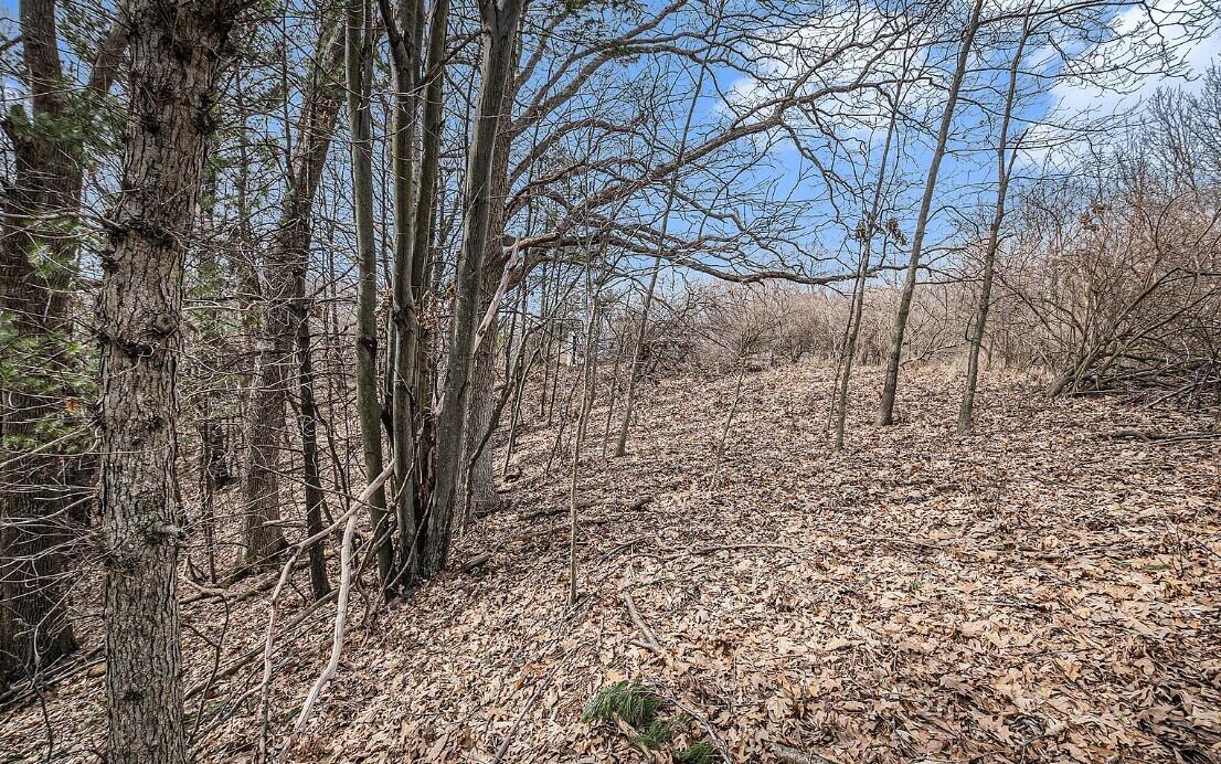 4832 W Monroe Road, Pentwater, MI, 49449-8910