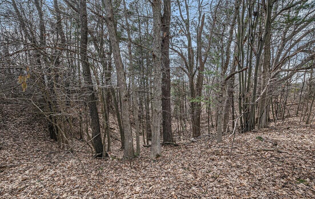 4832 W Monroe Road, Pentwater, MI, 49449-8910