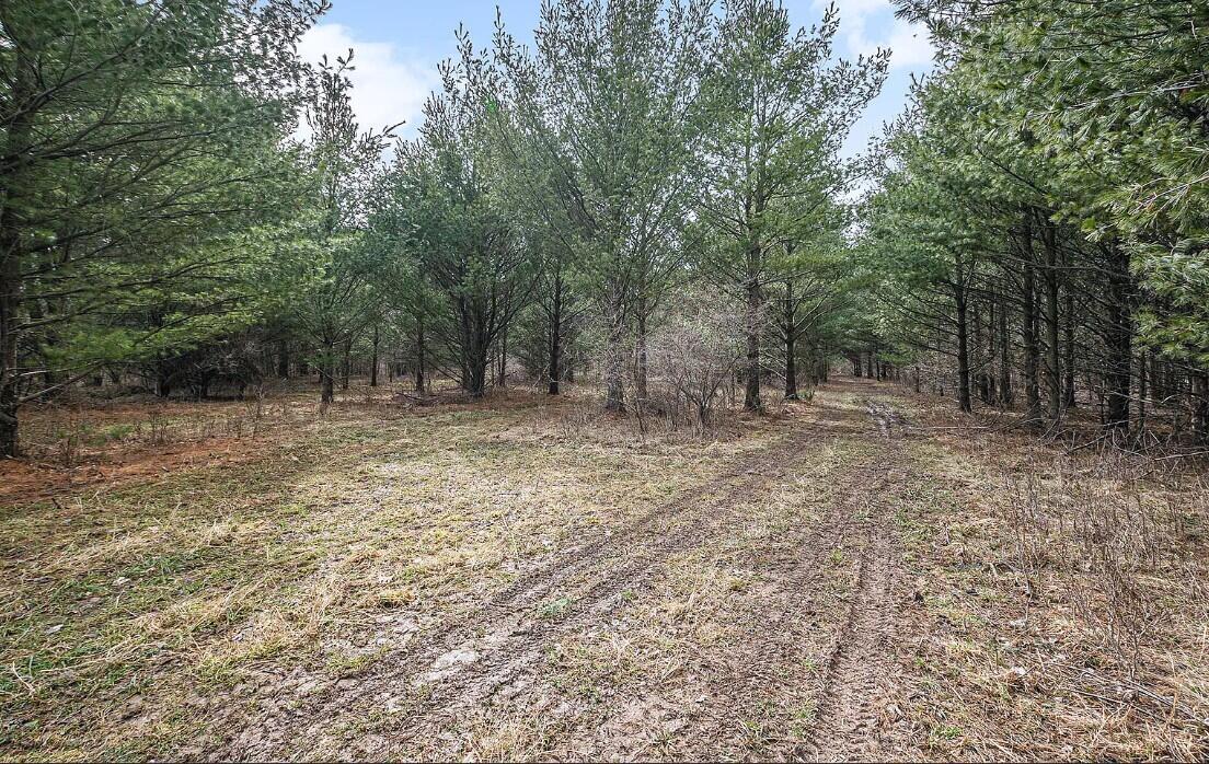 4832 W Monroe Road, Pentwater, MI, 49449-8910