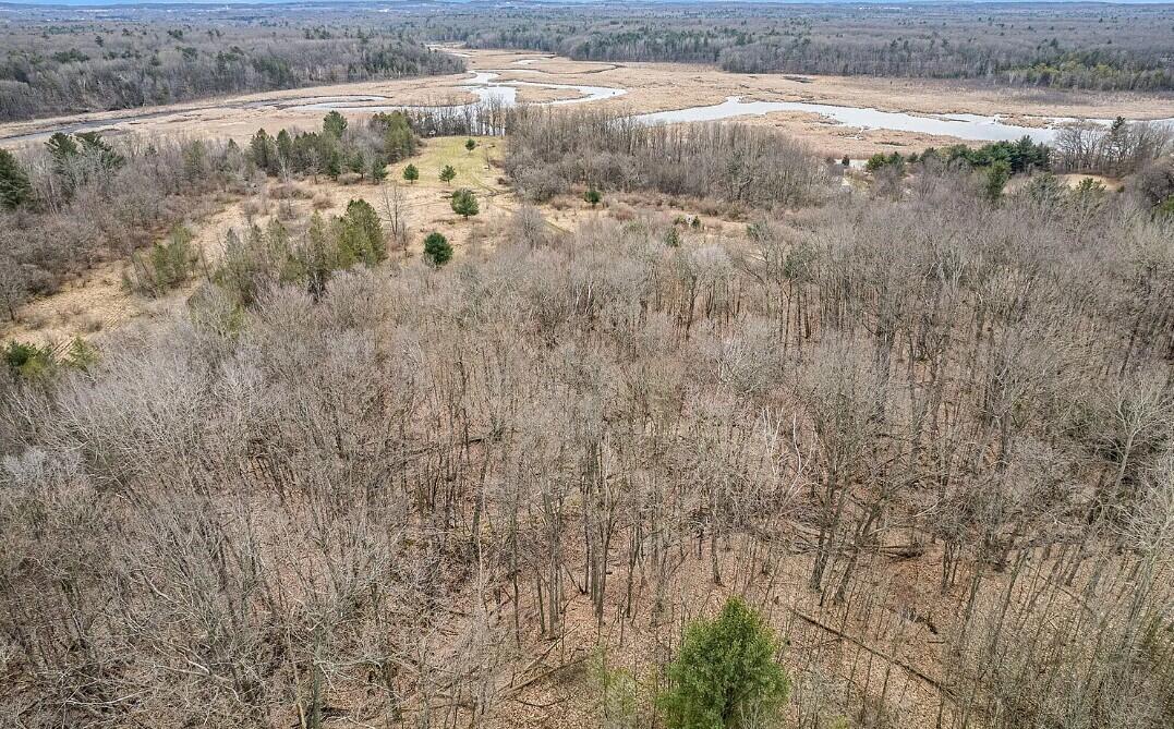 4832 W Monroe Road, Pentwater, MI, 49449-8910