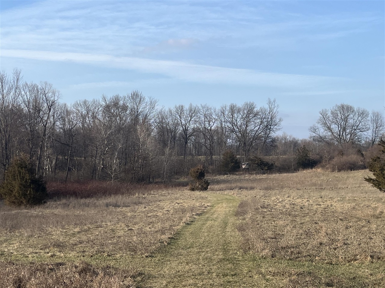 Waterloo Road, Chelsea, MI, 48118