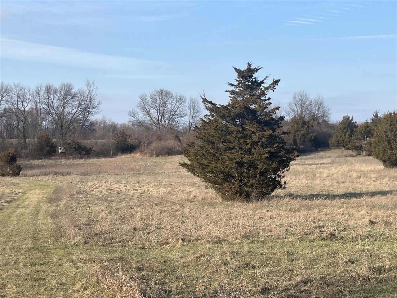 Waterloo Road, Chelsea, MI, 48118