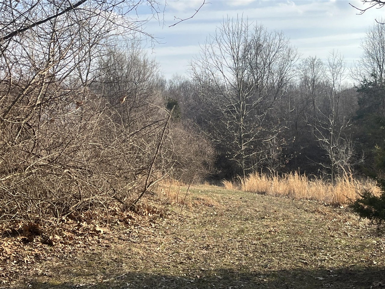 Waterloo Road, Chelsea, MI, 48118