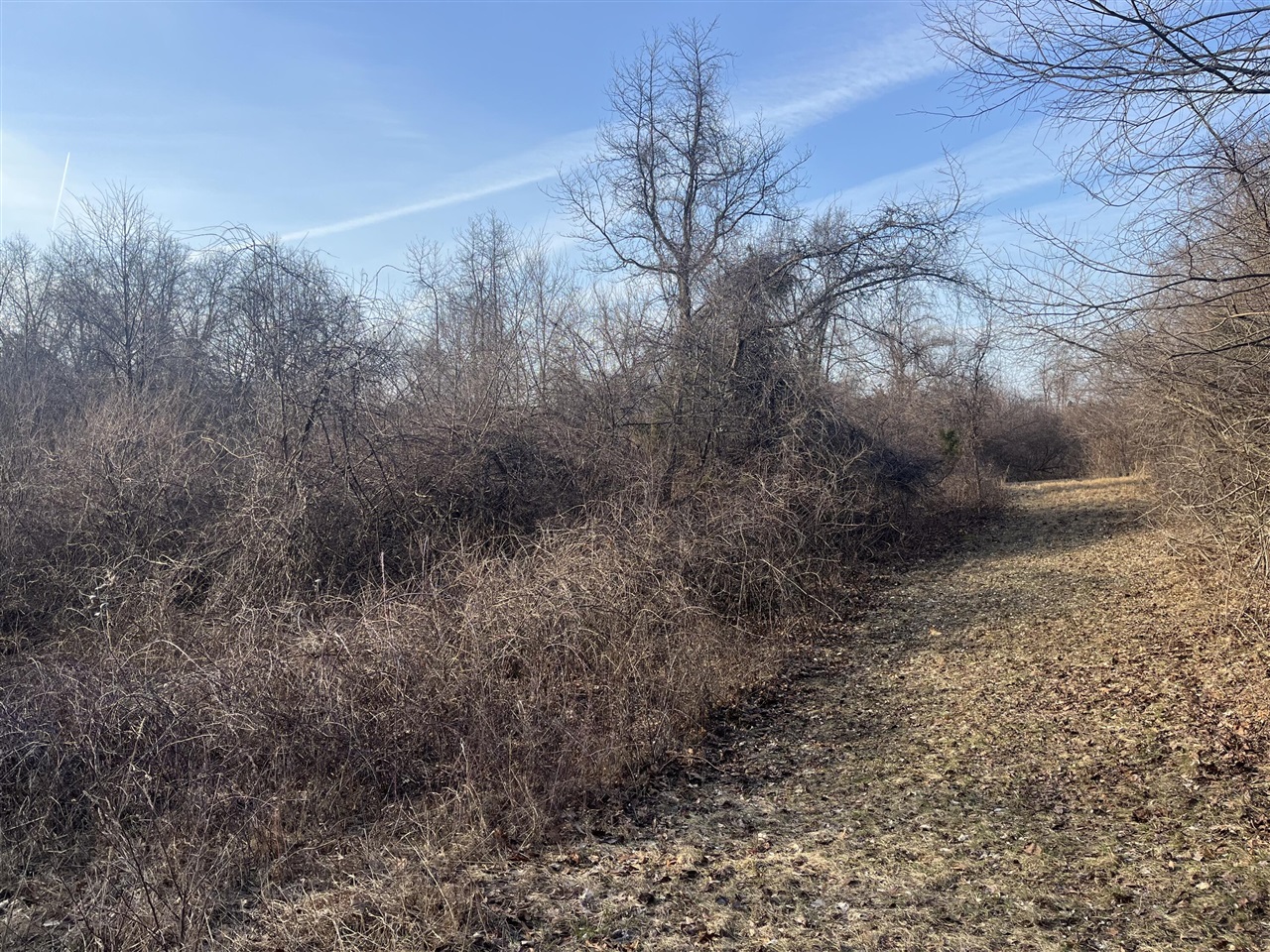 Waterloo Road, Chelsea, MI, 48118