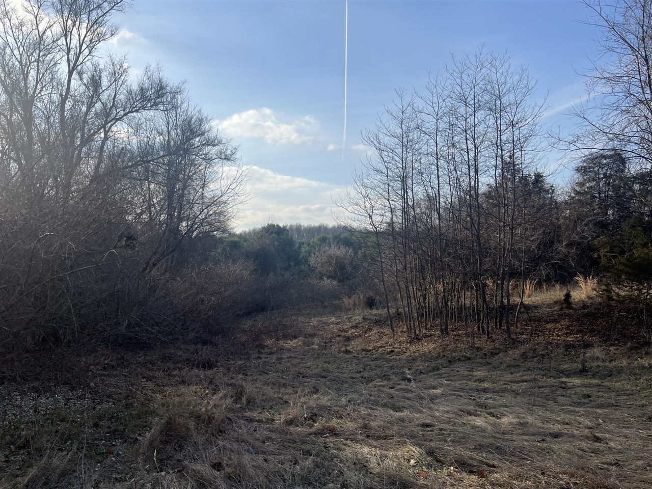 Waterloo Road, Chelsea, MI, 48118