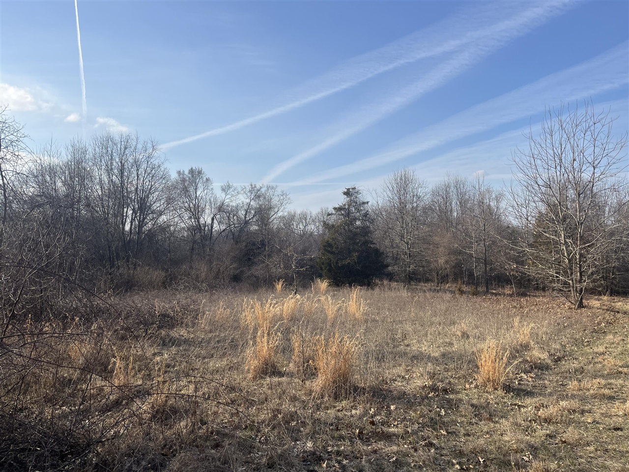 Waterloo Road, Chelsea, MI, 48118