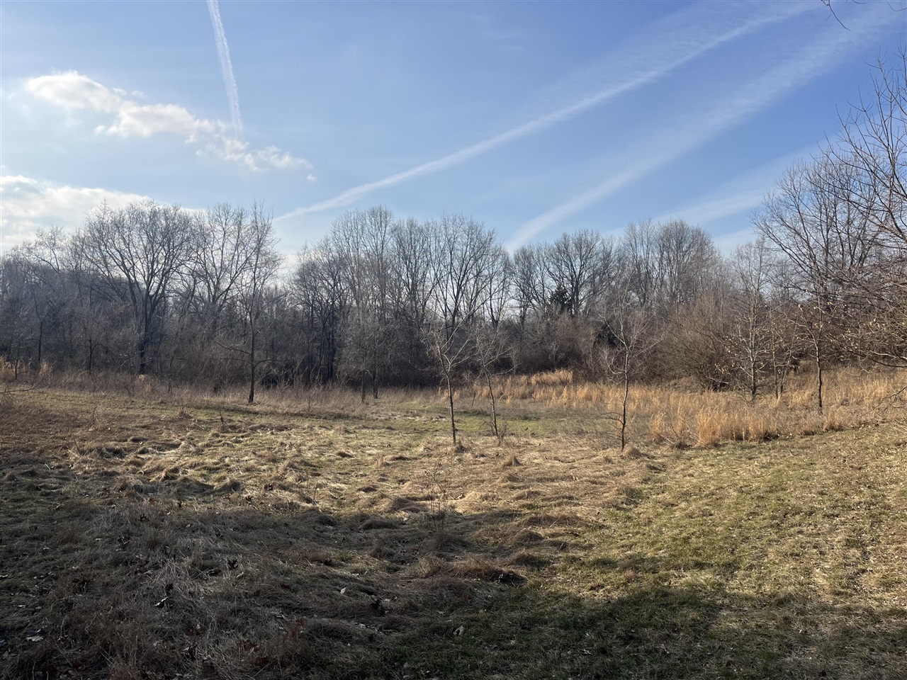 Waterloo Road, Chelsea, MI, 48118