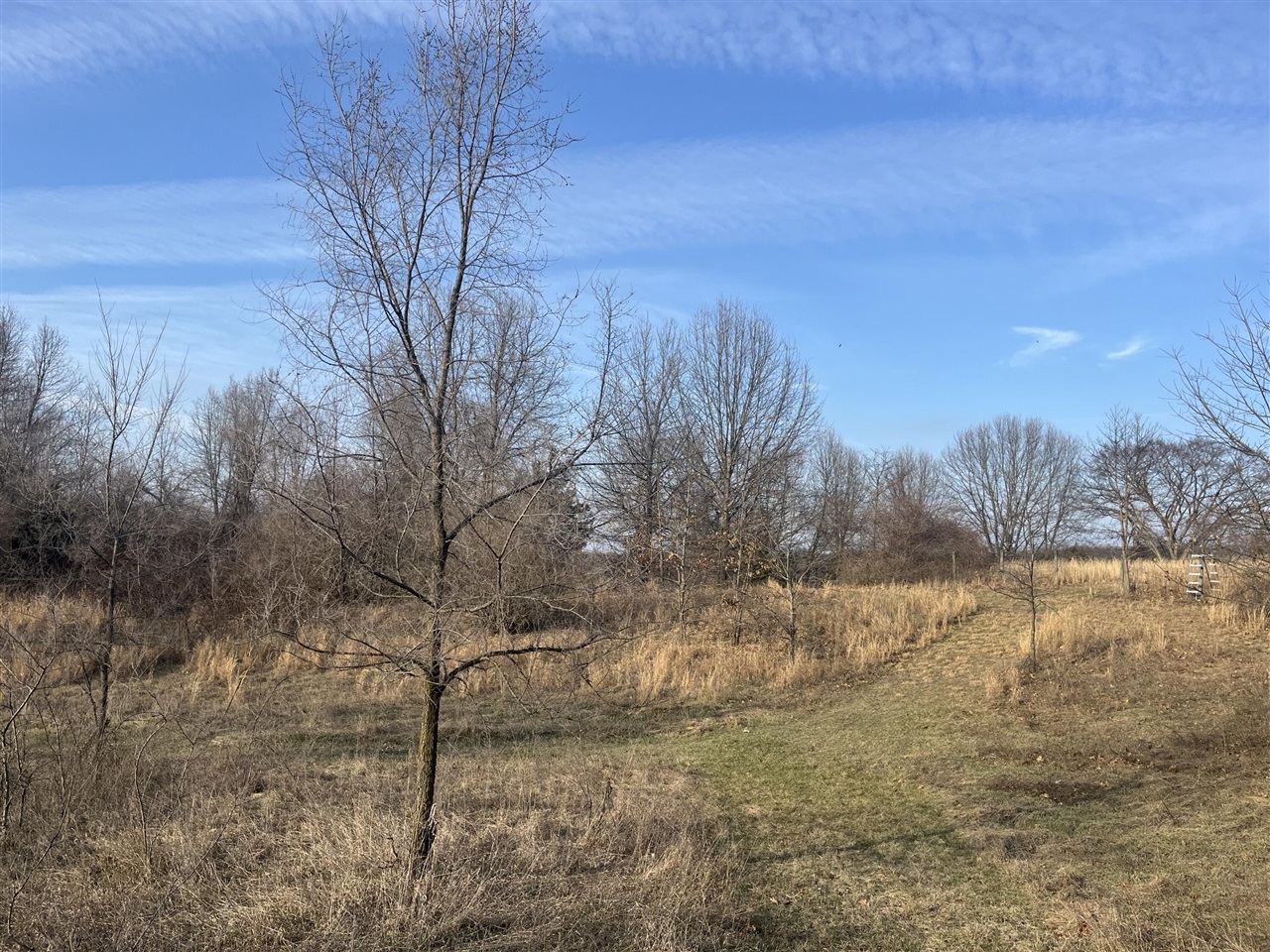 Waterloo Road, Chelsea, MI, 48118